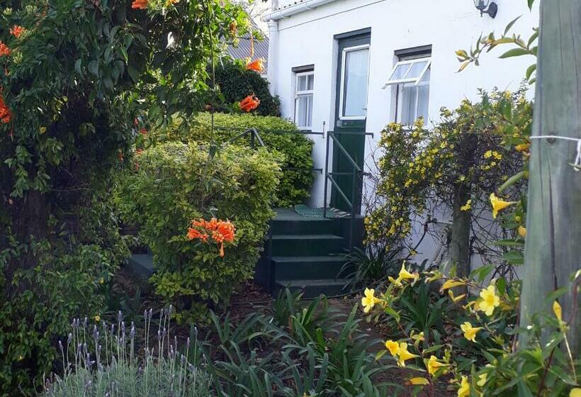 פנסיון Winterson En Somerkoelte