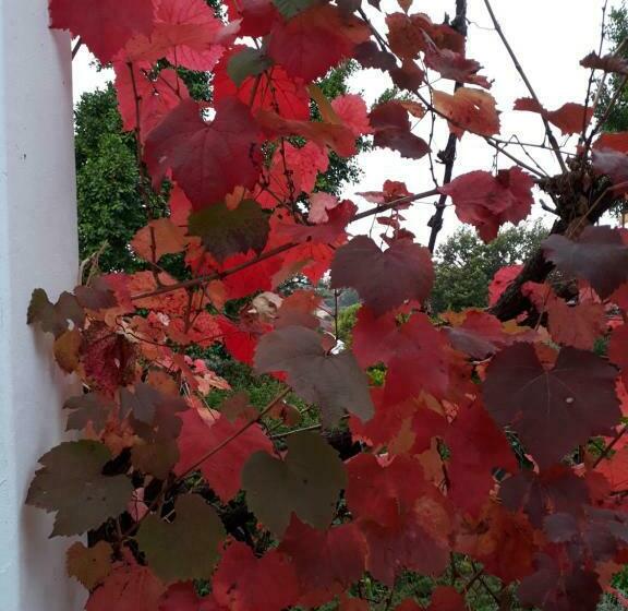 פנסיון Winterson En Somerkoelte