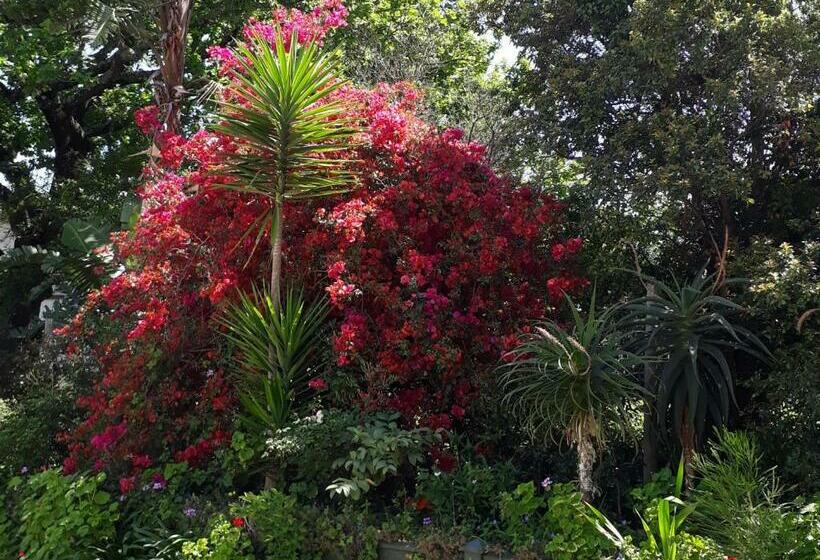 פנסיון Winterson En Somerkoelte