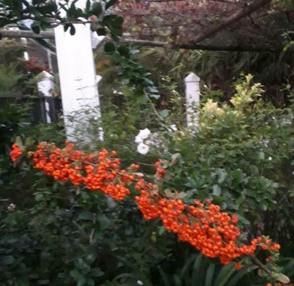 פנסיון Winterson En Somerkoelte