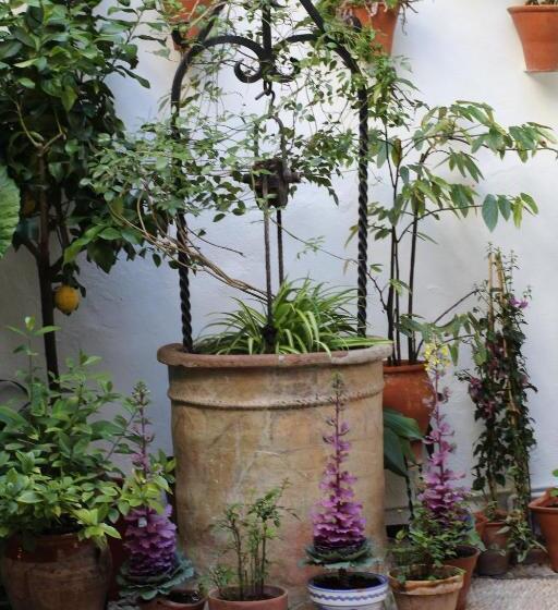 پانسیون Casa Longa