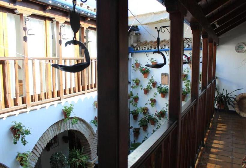 پانسیون Casa Longa