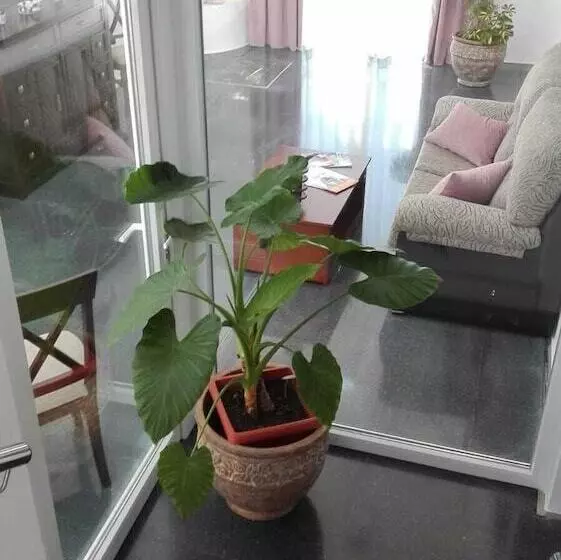 ホテル La Alcoholera