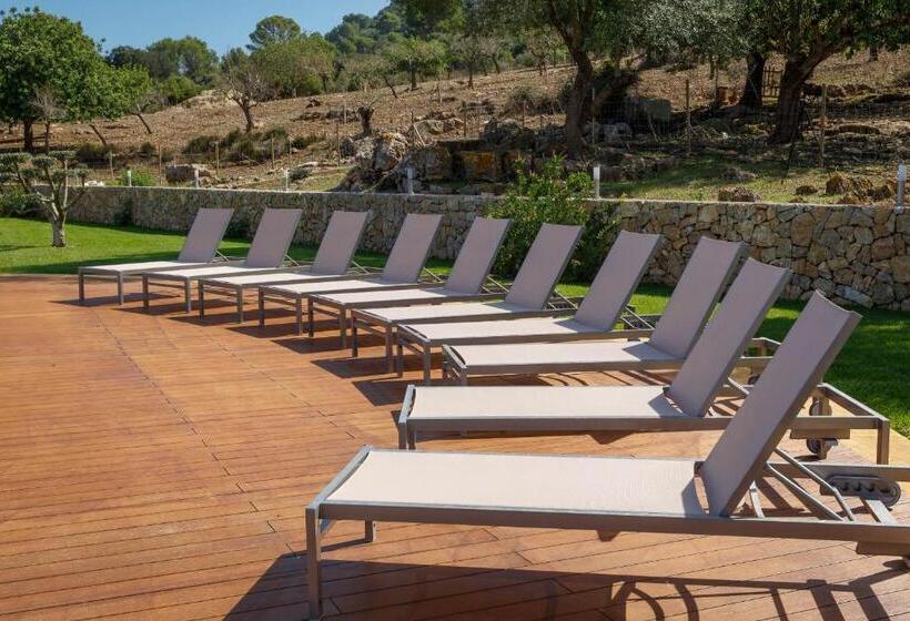 هتل Agroturismo S Arboçar