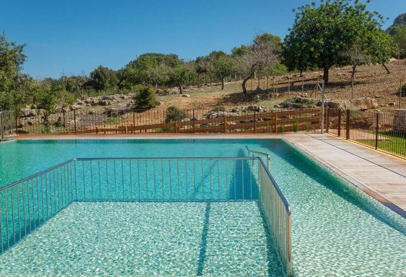 هتل Agroturismo S Arboçar