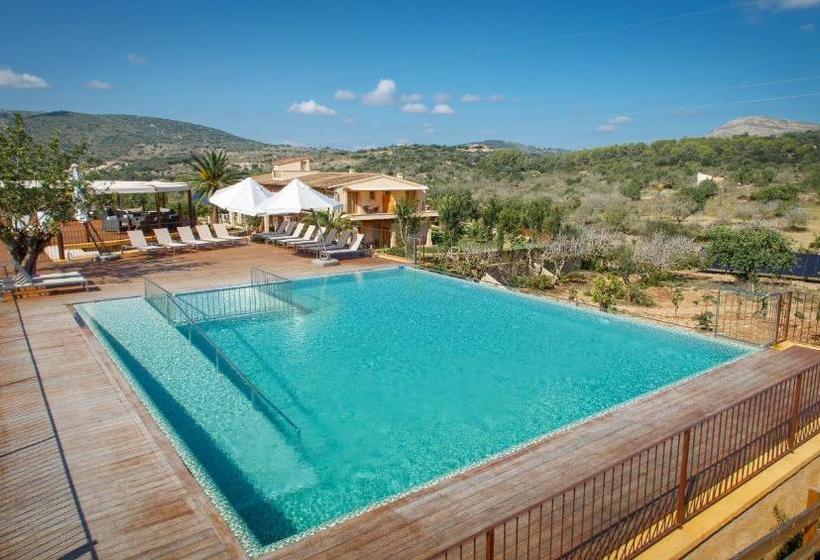 هتل Agroturismo S Arboçar