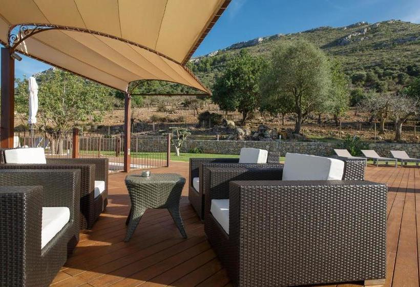 هتل Agroturismo S Arboçar