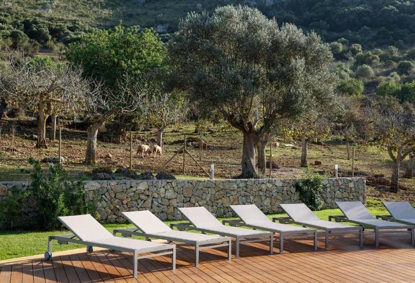 هتل Agroturismo S Arboçar