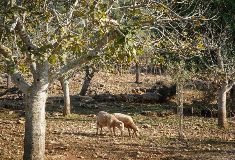 هتل Agroturismo S Arboçar