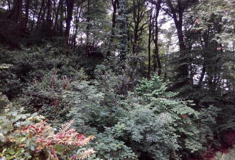 فندق صغير Posada Solar Montero De La Concha