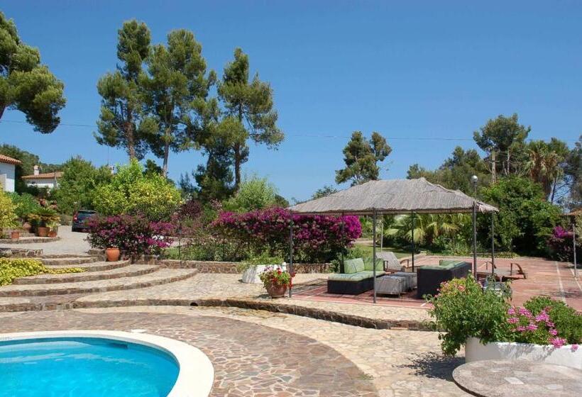 פנסיון Villa Sotavent