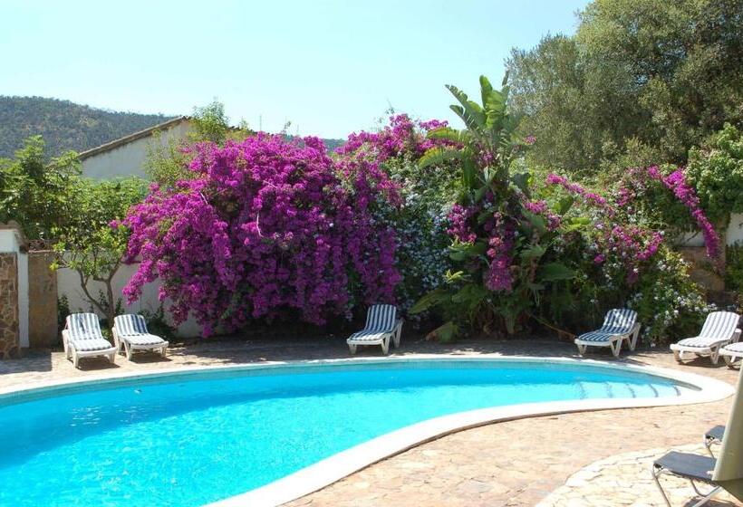 פנסיון Villa Sotavent