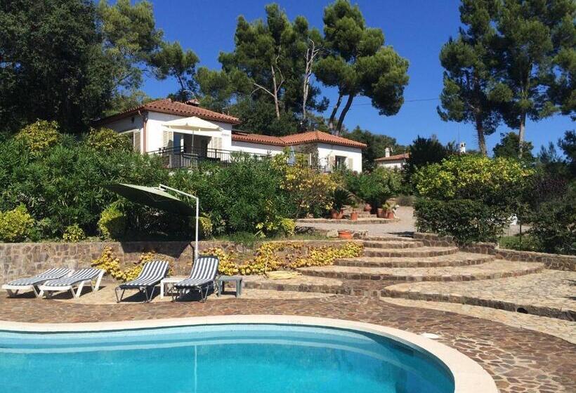 פנסיון Villa Sotavent