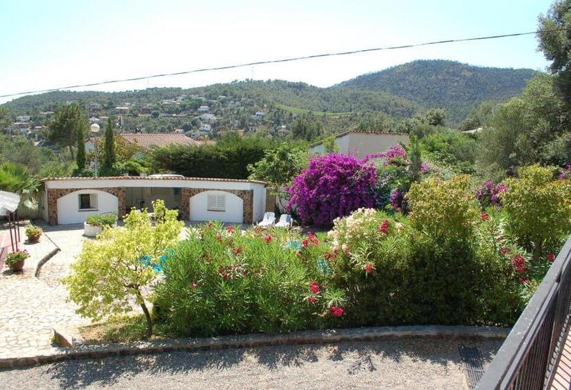 פנסיון Villa Sotavent