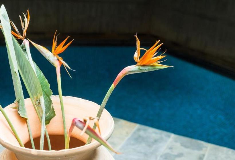 펜션 El Palauet De Monells Adults Only