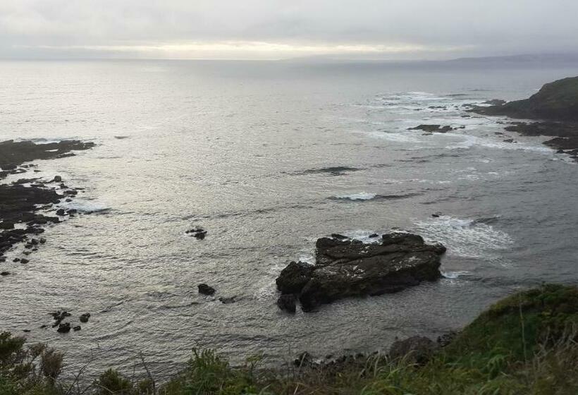 פנסיון Hostal Restaurante Pinarejo