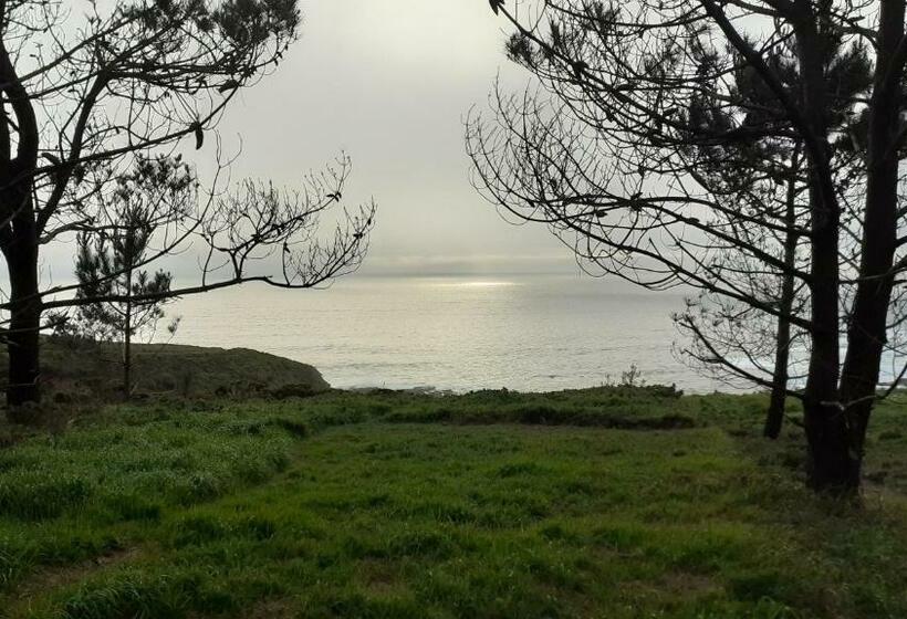 פנסיון Hostal Restaurante Pinarejo