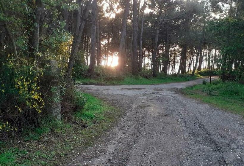 פנסיון Hostal Restaurante Pinarejo