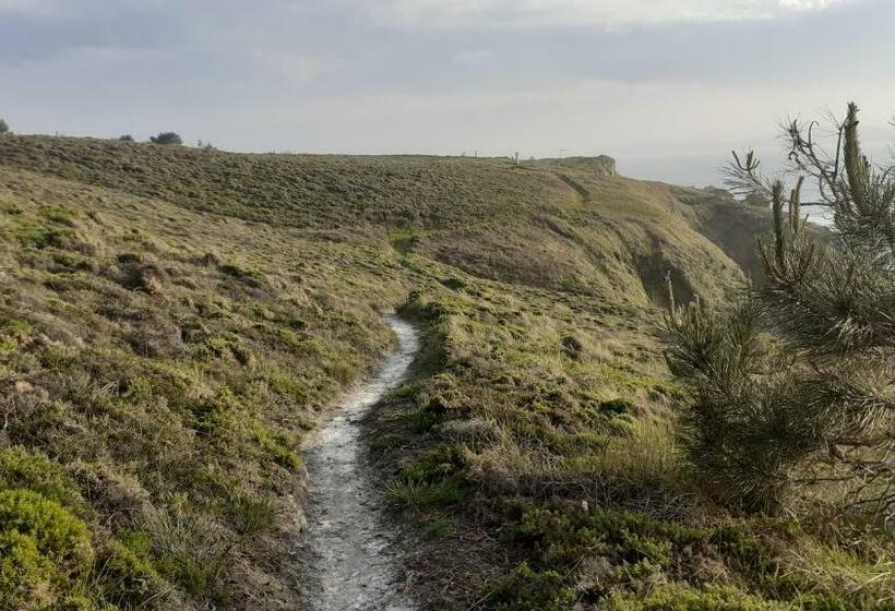 פנסיון Hostal Restaurante Pinarejo