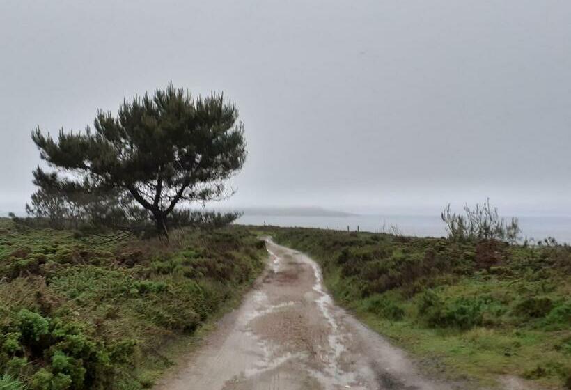 פנסיון Hostal Restaurante Pinarejo