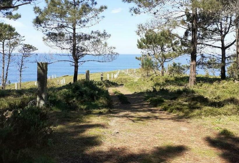 פנסיון Hostal Restaurante Pinarejo