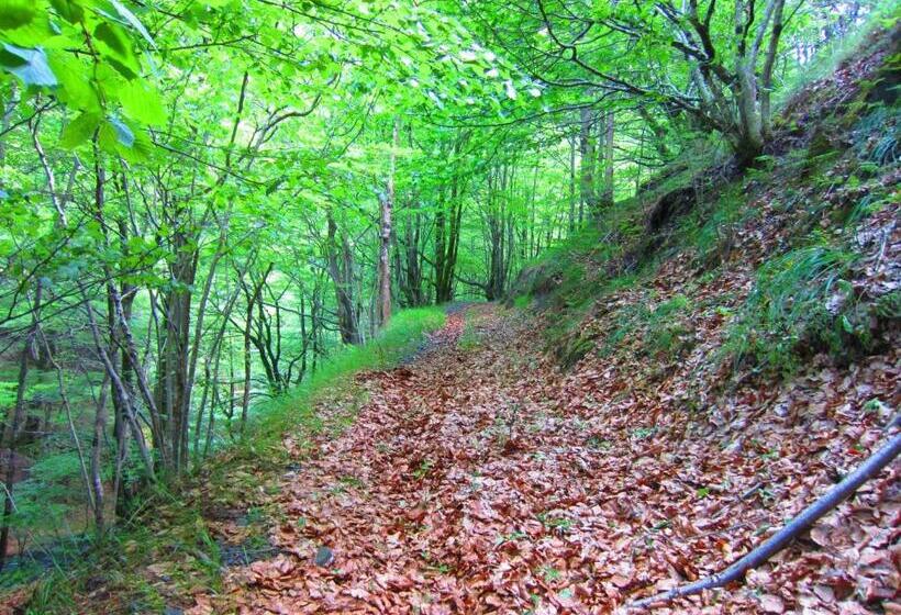 ペンション Matxitxulo Family Rooms