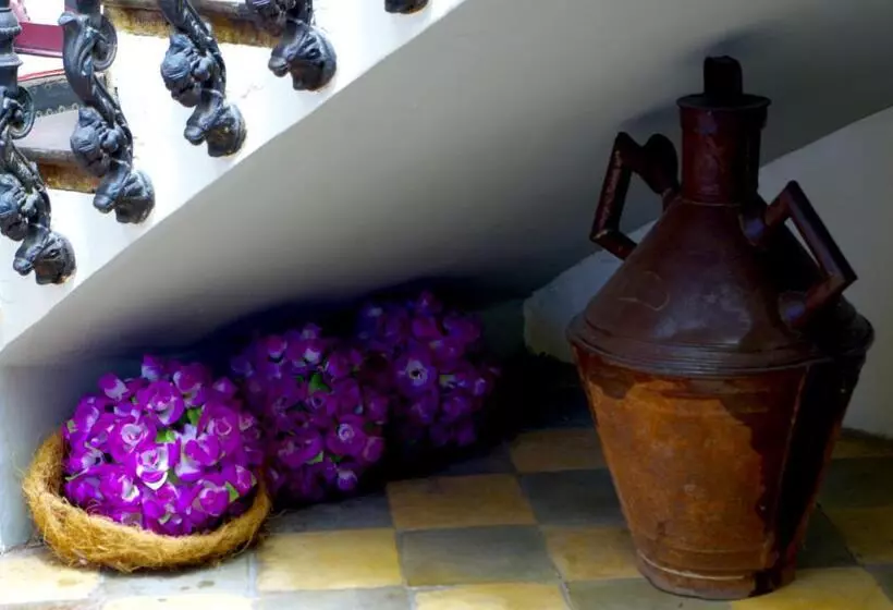 ユースホステル Olmitos 3, Casa Palacio Real Piedad