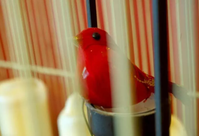 ユースホステル Olmitos 3, Casa Palacio Real Piedad