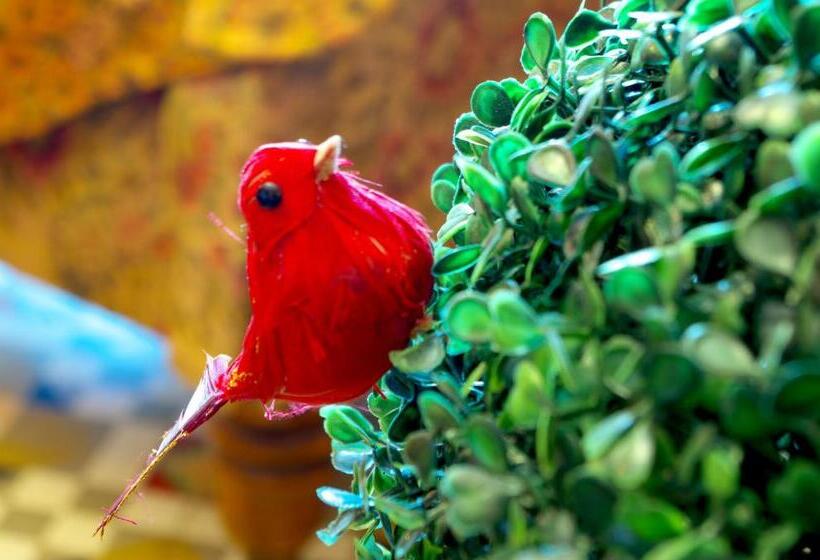 Albergue Olmitos 3, Casa Palacio Real Piedad