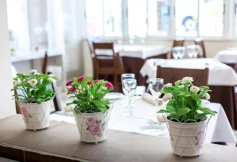 Pension Complejo Roma