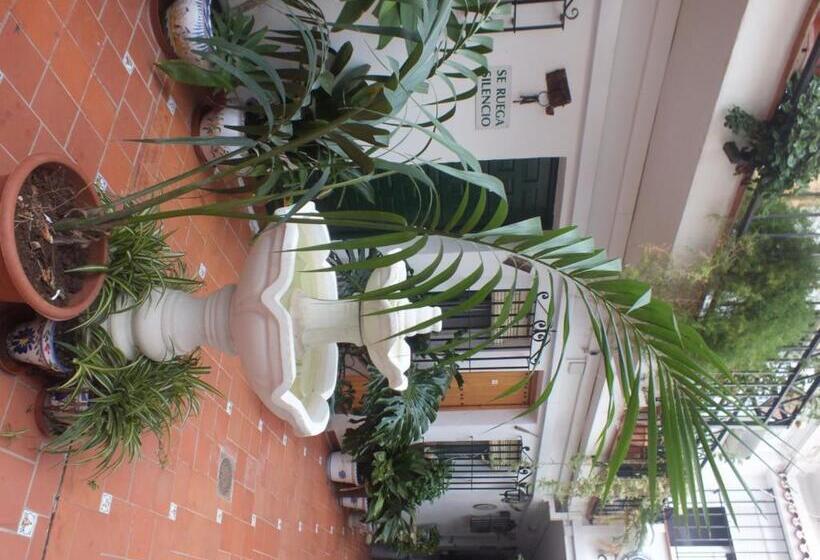 Pensione Hostal El Patio