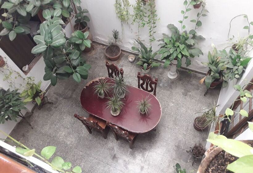 膳宿费 Hostal Ronda Sol