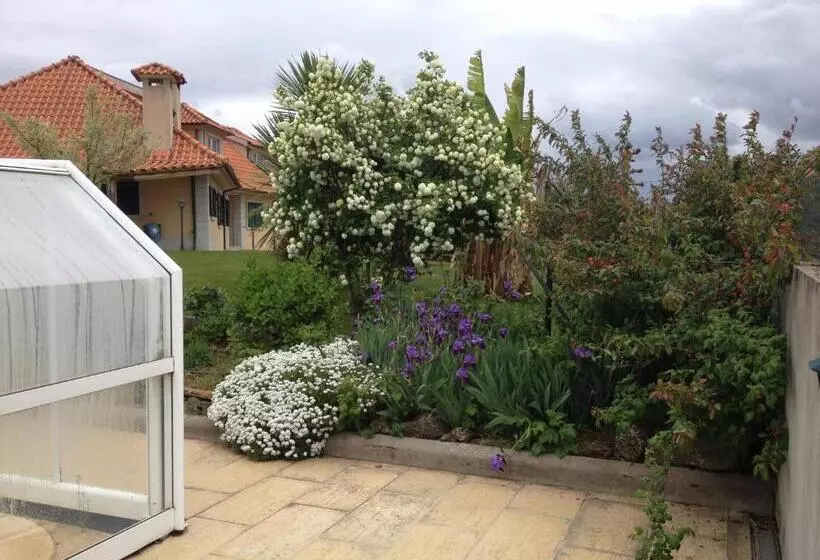 Aamiaismajoitus (B&B) Casa Vale De Azibo