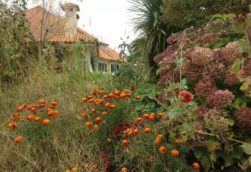 Aamiaismajoitus (B&B) Casa Vale De Azibo