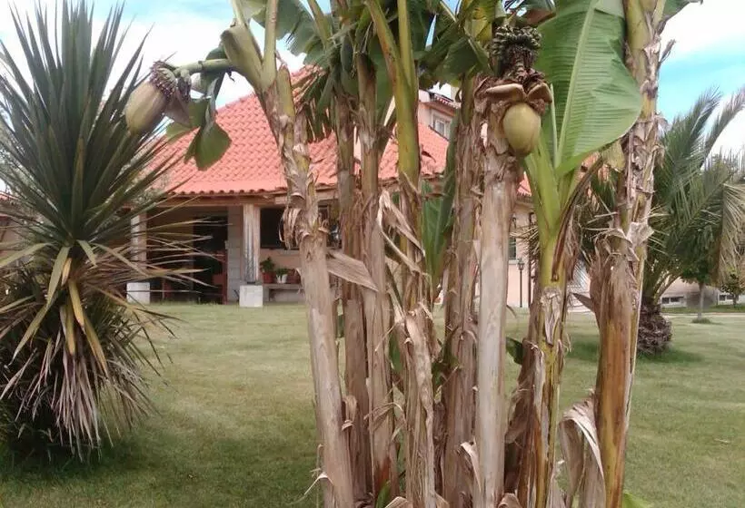 Aamiaismajoitus (B&B) Casa Vale De Azibo