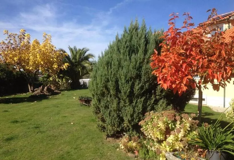 Aamiaismajoitus (B&B) Casa Vale De Azibo