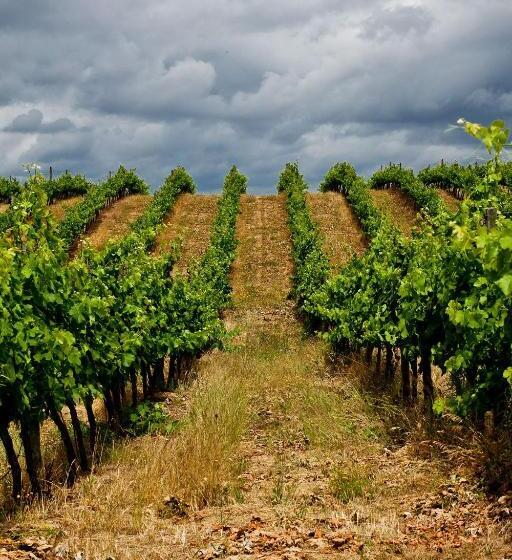 هتل Herdade Do Gamito