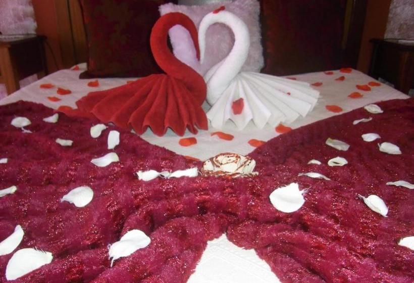 Пансион A Canhota