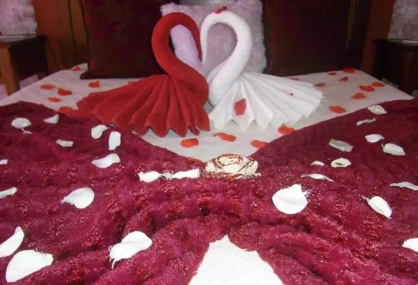 پانسیون A Canhota