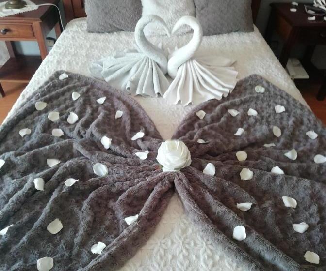 Пансион A Canhota