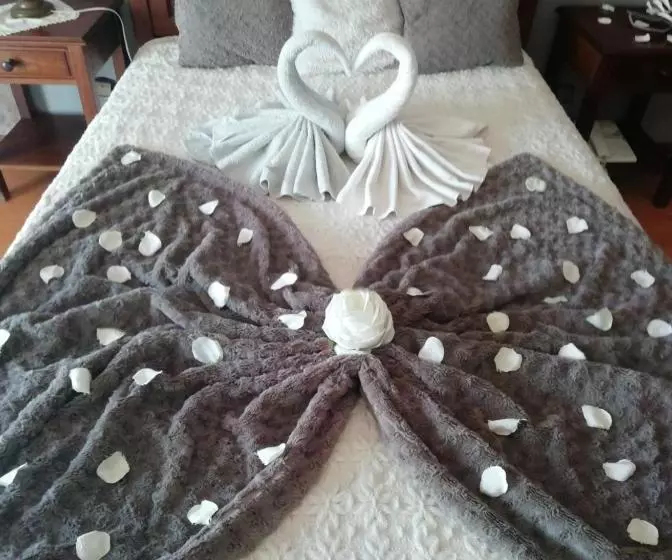 پانسیون A Canhota