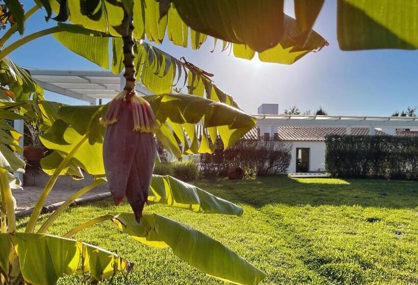 酒店 Herdade Do Kuanza