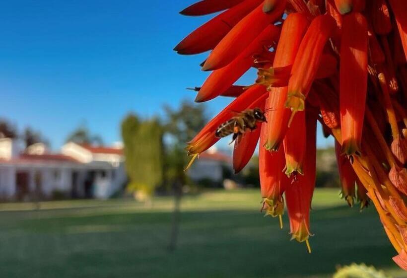 酒店 Herdade Do Kuanza