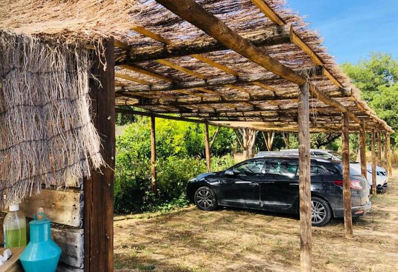 酒店 Ponte Pedra Melides Country House Adults Only