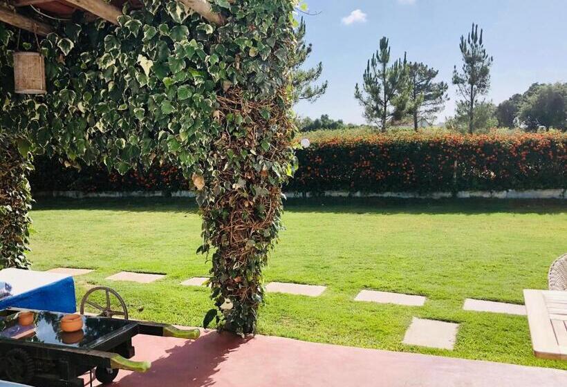 酒店 Ponte Pedra Melides Country House Adults Only