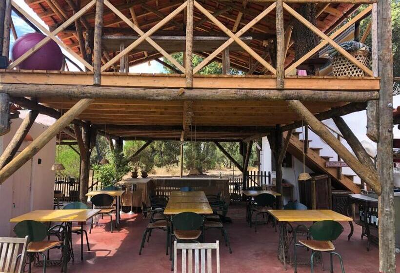 酒店 Ponte Pedra Melides Country House Adults Only