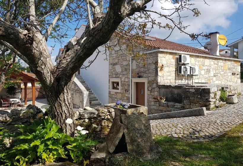 פנסיון Casa Dos Tios