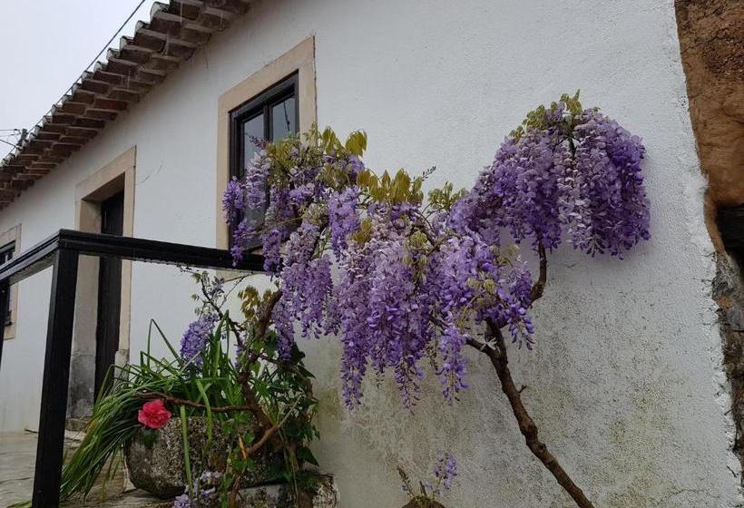 פנסיון Casa Dos Tios