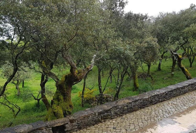 פנסיון Casa Dos Tios