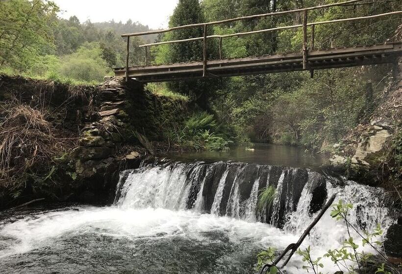 膳宿费 Moleiro Da Costa Má